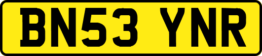 BN53YNR