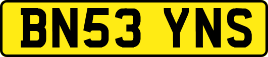BN53YNS
