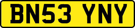 BN53YNY