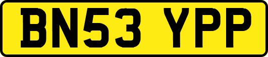 BN53YPP