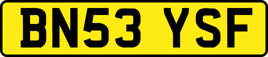 BN53YSF