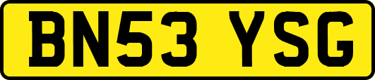 BN53YSG