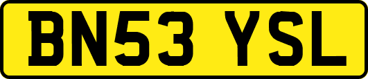 BN53YSL