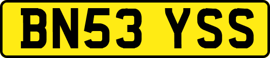 BN53YSS