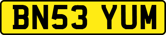 BN53YUM