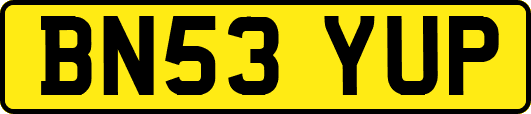 BN53YUP