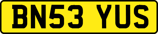 BN53YUS