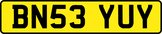 BN53YUY