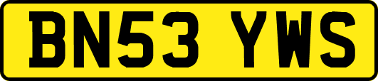 BN53YWS