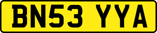 BN53YYA