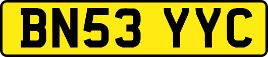BN53YYC