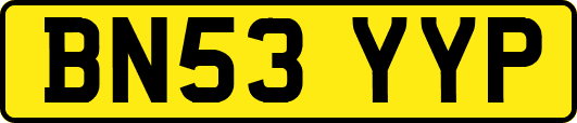 BN53YYP