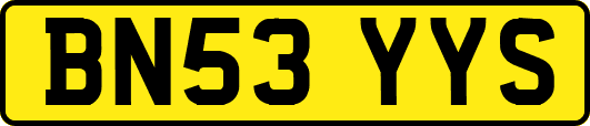 BN53YYS