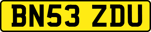 BN53ZDU