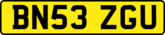BN53ZGU
