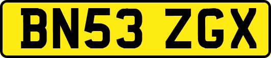 BN53ZGX