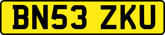 BN53ZKU