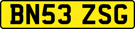 BN53ZSG