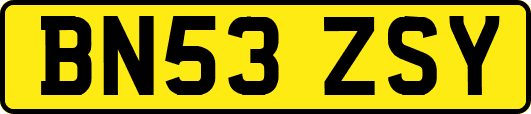 BN53ZSY