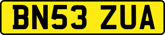 BN53ZUA