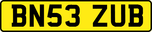BN53ZUB