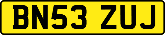 BN53ZUJ