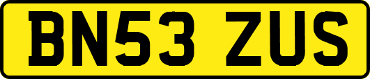 BN53ZUS