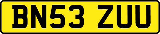 BN53ZUU