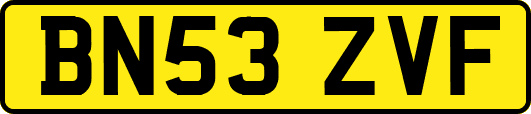 BN53ZVF