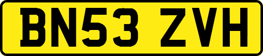 BN53ZVH