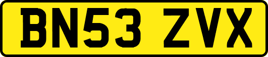 BN53ZVX
