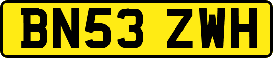 BN53ZWH