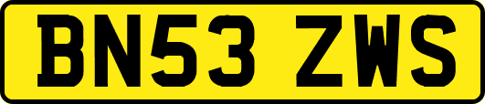 BN53ZWS