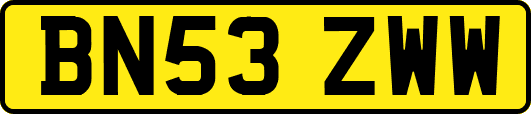 BN53ZWW