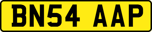 BN54AAP