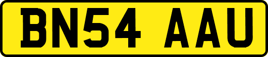BN54AAU