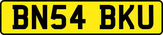BN54BKU
