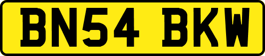 BN54BKW