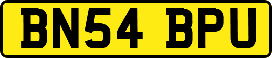 BN54BPU