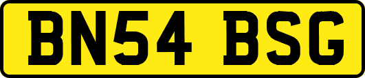 BN54BSG