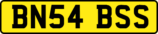 BN54BSS