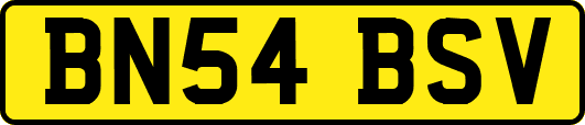 BN54BSV