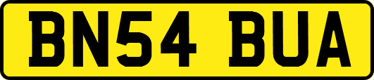 BN54BUA
