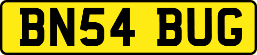 BN54BUG