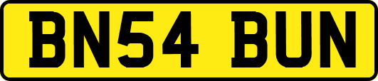 BN54BUN