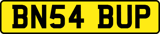 BN54BUP