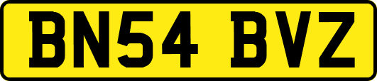 BN54BVZ