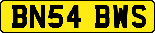 BN54BWS