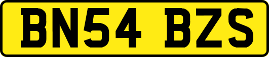 BN54BZS
