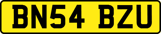 BN54BZU